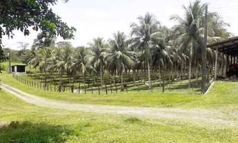 Imagem: Fazenda na PISTA da BR174, KM 57 com 10.360.000m2