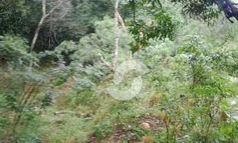 Imagem 4: Chácara/Sítio à venda, 28000 m² - Pendotiba - Niterói/RJ