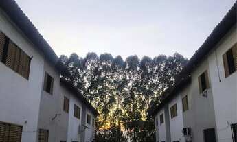 Imagem 5: Bosque Sul Apartamento com 2 dormitórios