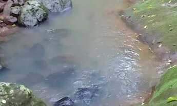 Imagem: Sítio valor 129,000,00 com 2 hectares e