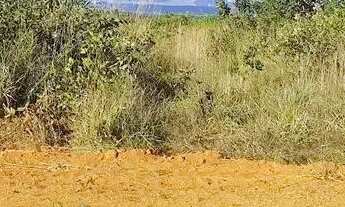 Imagem 2: Imóvel para venda com 1000 metros quadrados em São José do Almeida - Jaboticatubas - MG