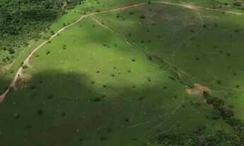 Imagem 6: Vende-se 10 Alq. em Corumbá de Goiás - Próximo a Taguatinga-DF