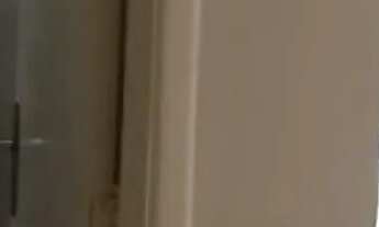 Imagem 4: Conjunto Comercial com 3 Salas 1 Vaga em Higienópolis