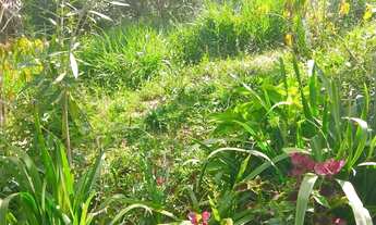 Imagem 6: 4 mil mts quadrados a 1200 mts da rodovia