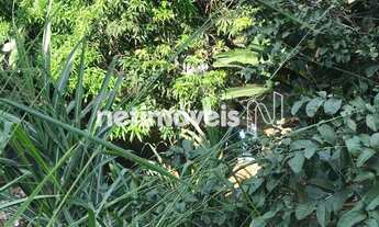 Imagem 5: Venda Casa Sagrada Família Belo Horizonte