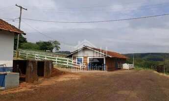 Imagem 4: Fazenda com 216 alqueires com dupla aptidão na cidade de São Carlos-SP