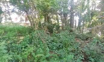 Imagem 5: Area - Bairro Planalto