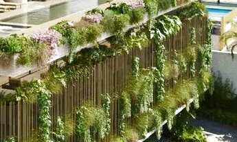 Imagem 6: Edifício Mansão Seara