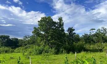 Imagem 2: Sítio com 55 hectares na região da cidade de Nobres MT