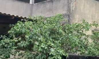 Imagem: Vendo 2 casas e um terraço