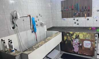 Imagem 7: PetShop Zona leste. Ref; 1021