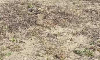 Imagem 5: Venda de terreno