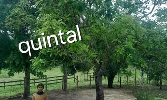 Imagem 6: Excelente Sítio com mais de 450 pés de laranja à uma Hora do Rio de Janeiro