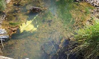 Imagem 5: Fazenda à Venda 49 Alqueires entre Piranhas e Bom Jardim GO