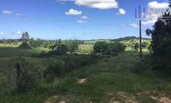 Imagem 3: Fazenda com 251 HA