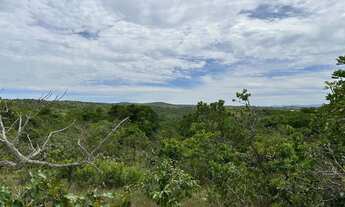 Imagem 2: Terrenos 20.000m2 a 35min da Cachoeira Grande com Financiamento Próprio
