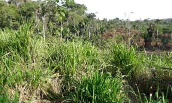 Imagem 6: Area rural 200 hectares