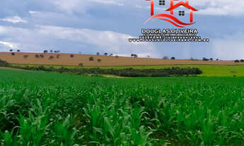 Imagem: Fazenda Na Região De Patos De Minas / MG