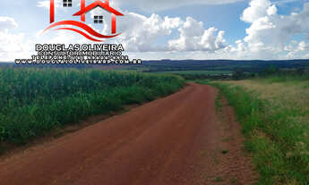 Imagem 3: Fazenda Na Região De Patos De Minas / MG