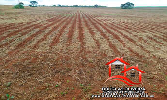 Imagem 4: Fazenda Na Região De Patos De Minas / MG