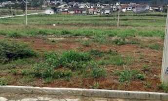 Imagem 2: Lote à Venda Criciúma, São Defende