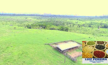 Imagem 3: FAZENDA À VENDA EM ANAPU - PA - DE 400 ALQUEIRÕES (Pecuária