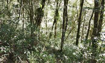 Imagem 2: Terreno com Preço de Oportunidade à Venda no Residencial dos Lagos - Campos do Jordão/SP