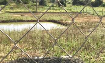 Imagem 4: Chácara 2000 mil metros Jacutinga