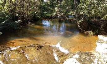 Imagem 6: Fazenda Top 187 Alqueires - Morrinhos