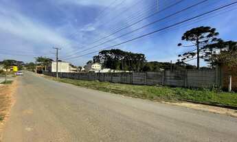Imagem 7: Terreno com 63 metros de frente - estuda-se permuta!