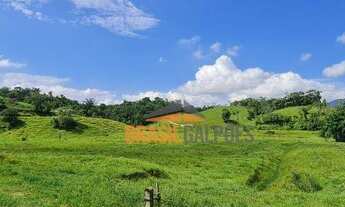 Imagem 2: Terreno Industrial no Bairro Macucos - Gaspar/SC