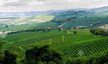 Imagem: AF- Fazenda entrada R$16.500