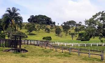 Imagem: Fazenda Top 187 Alqueires - Morrinhos
