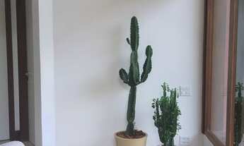 Imagem 4: Apartamento para venda tem 500 metros quadrados com 4 quartos em Joá - Rio de Janeiro - RJ