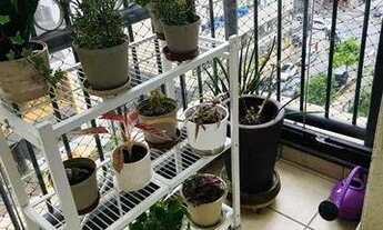 Imagem: 800m Metrô Santa Cruz 85m² 3 dormitórios