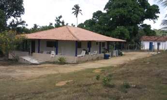 Imagem 4: Vendo ótimo sítio em Alhandra !!!