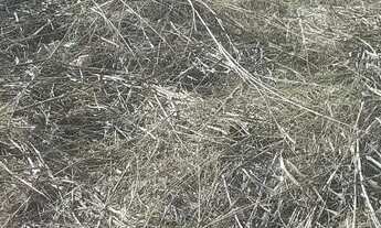 Imagem 5: TERRENO EM CONDOMINIO