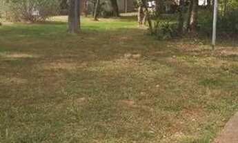 Imagem 5: Vendo casa 713 sul particular