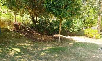 Imagem 2: Vendo ou troco Sitio em domingos martins