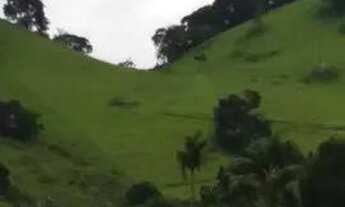 Imagem 6: Venda-se está propriedade de 4 alqueires no Município de Mimoso do Sul/ES