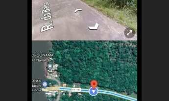 Imagem 3: Vende - se um terreno com açaizal Barcarena sede