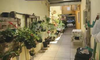 Imagem 3: Casa Padrão em São José do Rio Preto