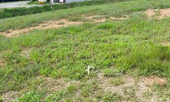 Imagem 2: Lote No Condomínio Las Palmas