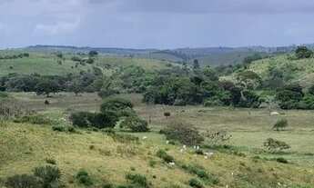 Imagem 2: Fazenda Em Umbauba