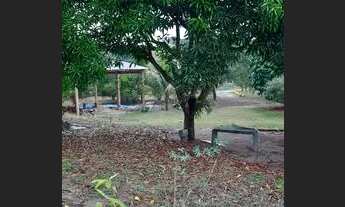 Imagem 6: Chácara/Sítio a Venda