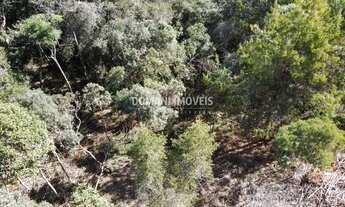 Imagem: Belo Lote de Terreno à Venda na Região