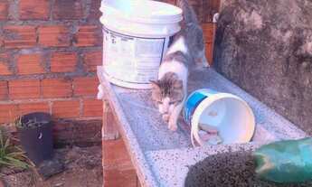 Imagem: Vendo uma casa