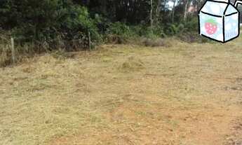 Imagem: Terreno no Jacamim