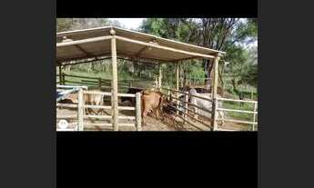 Imagem 3: Troco ou Vendo Chácara com venda por R$420.000