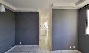 Imagem 7: APARTAMENTO 2 QUARTOS - TOMAS COELHO